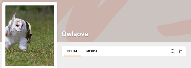 [owlsova] Инструкция по отзывам Avito даром почти _0.png